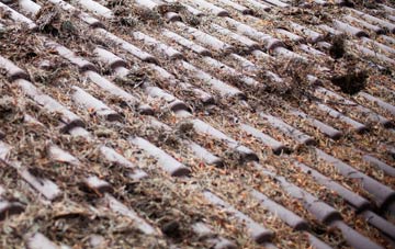 Becontree roof cleaning companies