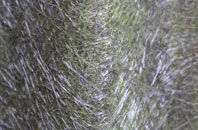 Becontree fibreglass roof work